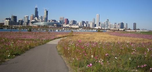 South Shore Excursions: Museum Campus 11th Street